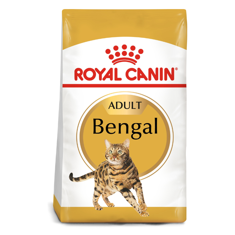 Royal Canin Bengal Adult Cat Food 2 KG Buy PetCentral