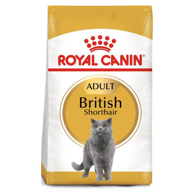 Royal Canin British Shorthair Adult Cat Food Buy PetCentral
