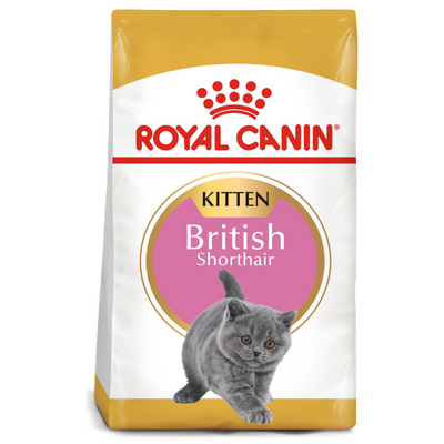 Royal Canin British Shorthair Kitten Dry Food 2kg available at PetCentral 