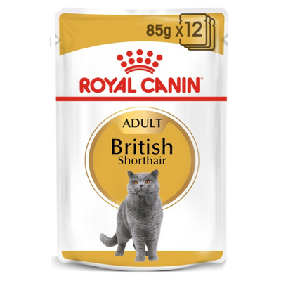 Royal Canin British Shorthair Wet Food 12x85g Buy PetCentral