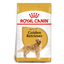 Royal Canin Golden Retriever Adult Dog Dry Food 12kg available at PetCentral 