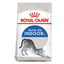 Royal Canin Indoor Cat Food 2 KG Oman 