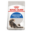 Royal Canin Indoor Long Hair Cat Food 2 KG Buy PetCentral
