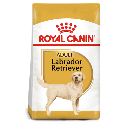 Royal Canin Labrador Adult Dog Dry Food available at PetCentral 