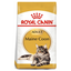 Royal Canin Maine Coon Adult Cat Dry Food 2kg available at PetCentral 