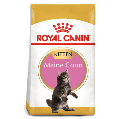 Royal Canin Maine Coon Kitten Dry Food 2kg available at PetCentral