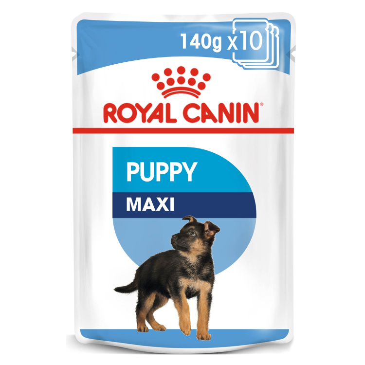 Royal Canin Maxi Puppy Wet Food 10x140g Oman Buy PetCentral