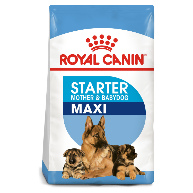 Royal Canin Maxi Starter Puppy Food 15 KG Buy PetCentral