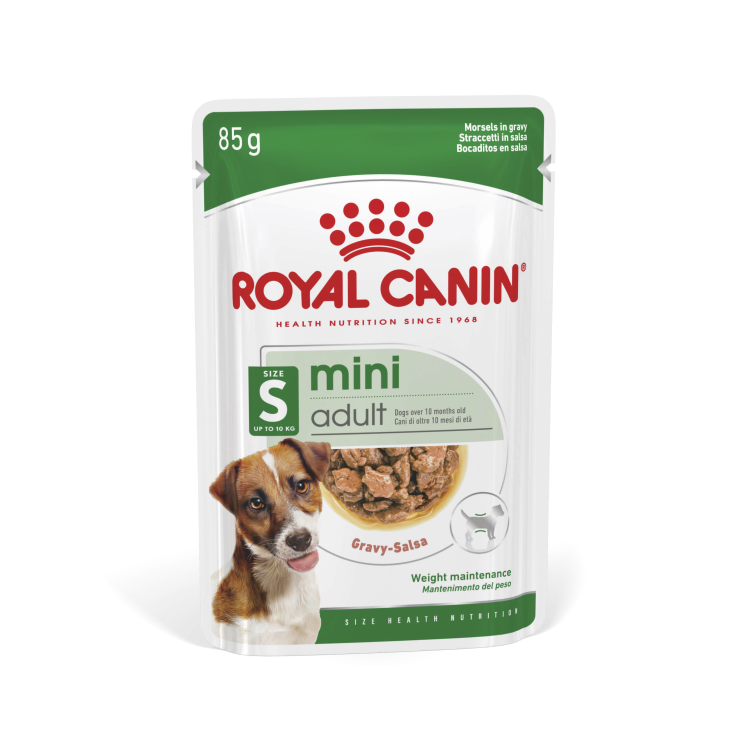 Royal Canin Mini Adult Wet Food 12x85g Buy PetCentral