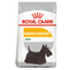 Royal Canin Mini Dermacomfort Dog Food 3 KG Buy PetCentral