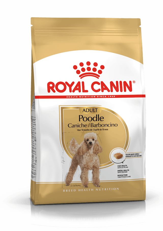 Royal Canin Poodle Adult Dog Food