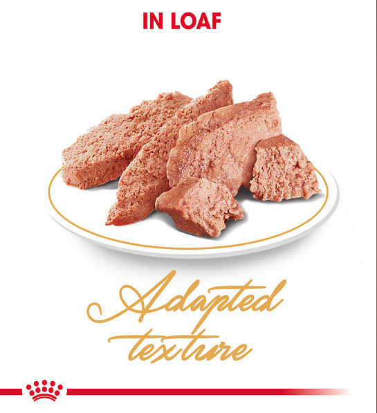 Royal Canin  Feline Breed Nutrition Persian (WET FOOD - Pouches)