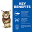 Hills Science Plan Tender Chunks & Gravy Kitten Turkey Pouches